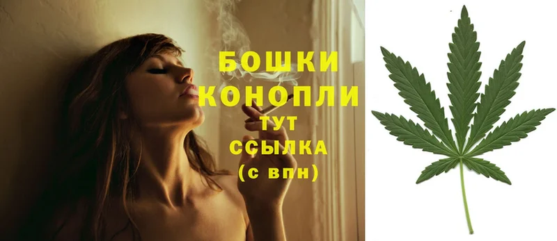 Бошки Шишки THC 21%  где можно купить   дарк нет как зайти  Нефтекамск 